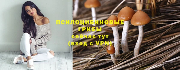 круглые Бронницы