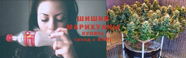 скорость Бородино